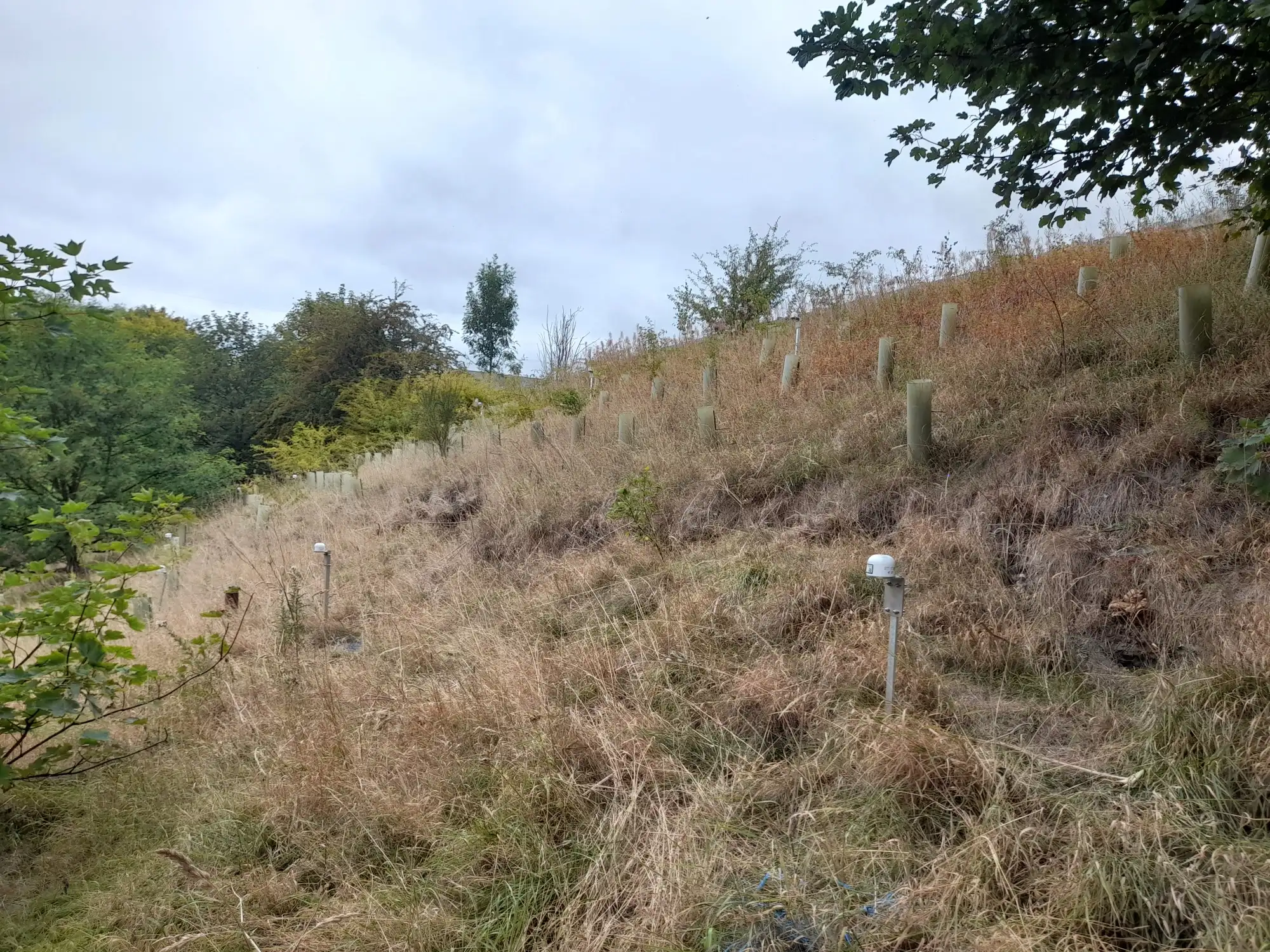 Wireless sensor systems being deployed on M62 embankment during monitoring survey.